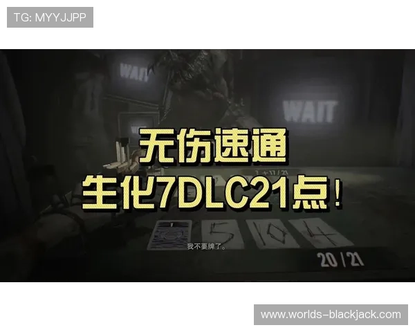 21点技巧生化危机：在生化危机中应用21点技巧实现更高效的资源管理与敌人应对