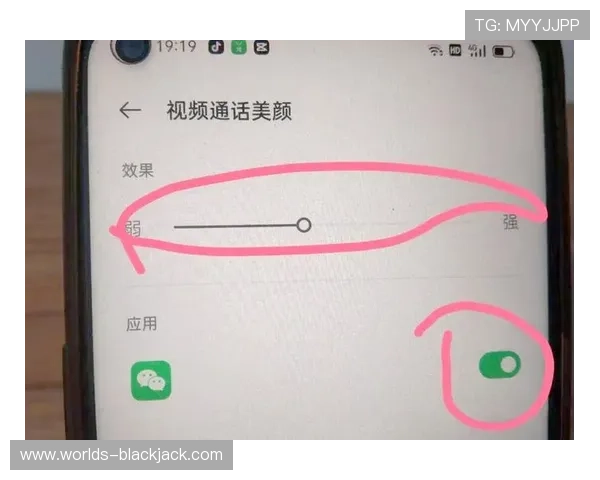 网页版Chatroulette无需下载即可使用，方便快捷的全球视频随机聊天平台，开启你的社交新旅程